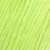 Yarn & Colors EPIC Cotton - Pistachio